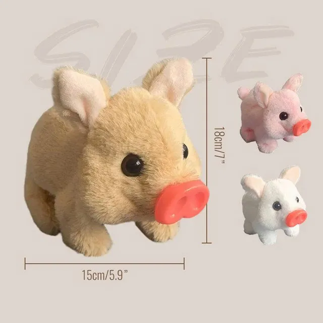 /68faf17d46a9040009eb4187/2025/10/24/product-img-68fafaf870bd325c841c5c9e.png