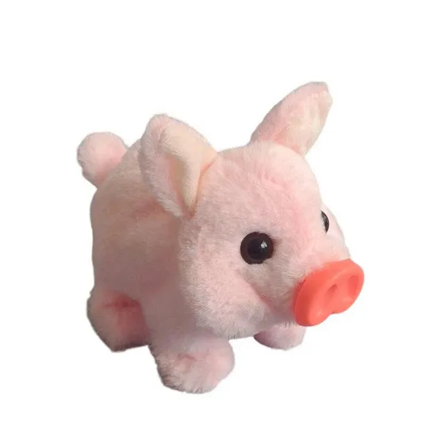 /68faf17d46a9040009eb4187/2025/10/24/product-img-68fafaf870bd325c841c5c9f.png